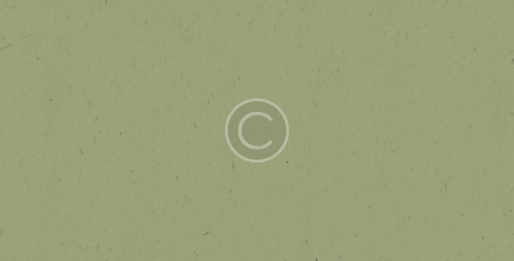 bg_green-scaled-1024x520-1.jpg